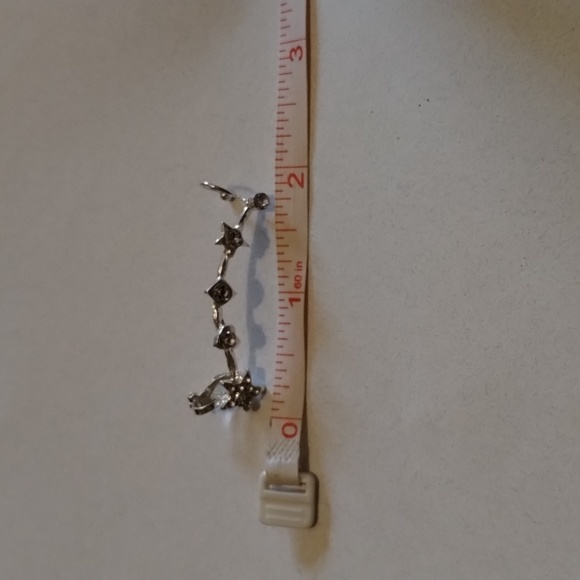 Silver Ear Crawler! - Picture 5 of 6